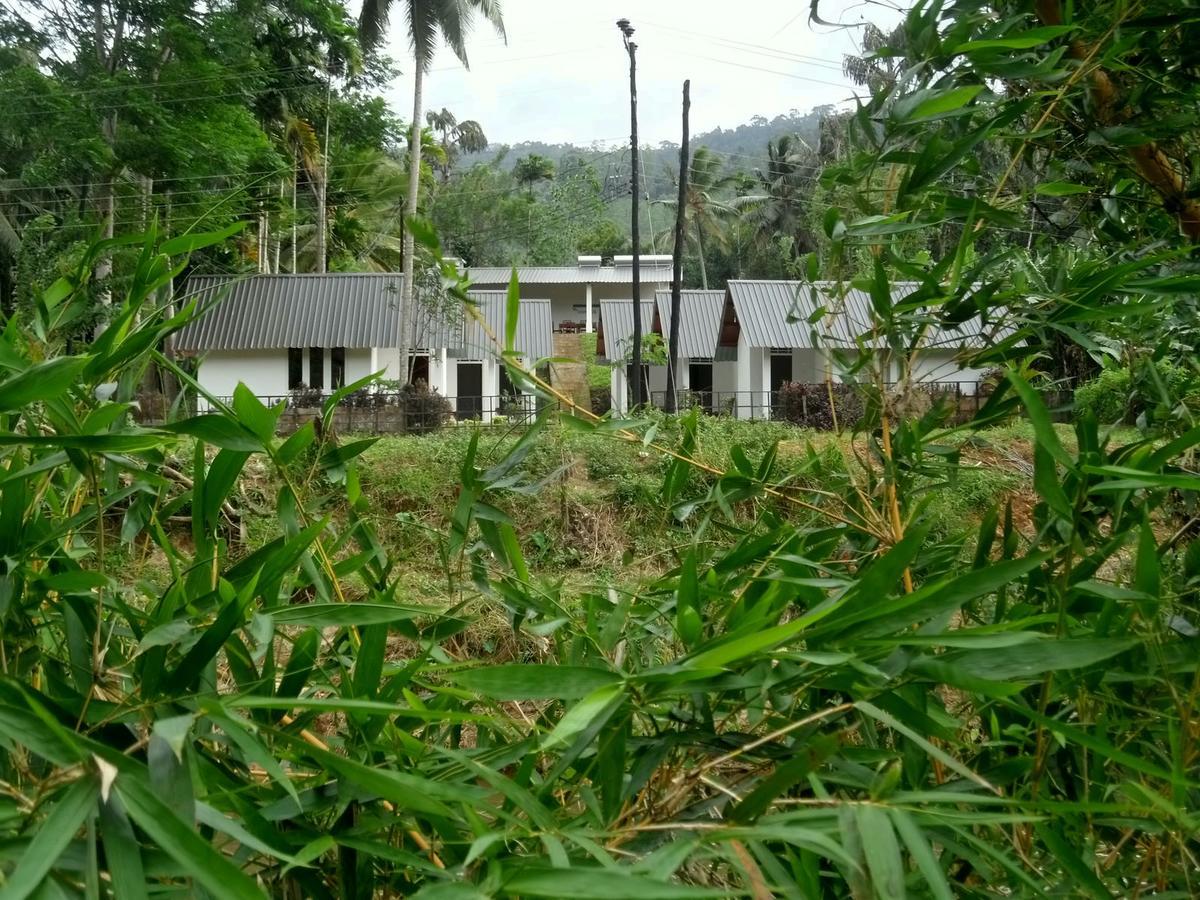 Sinharaja Forest Sanctuary Deniyaya Exterior photo