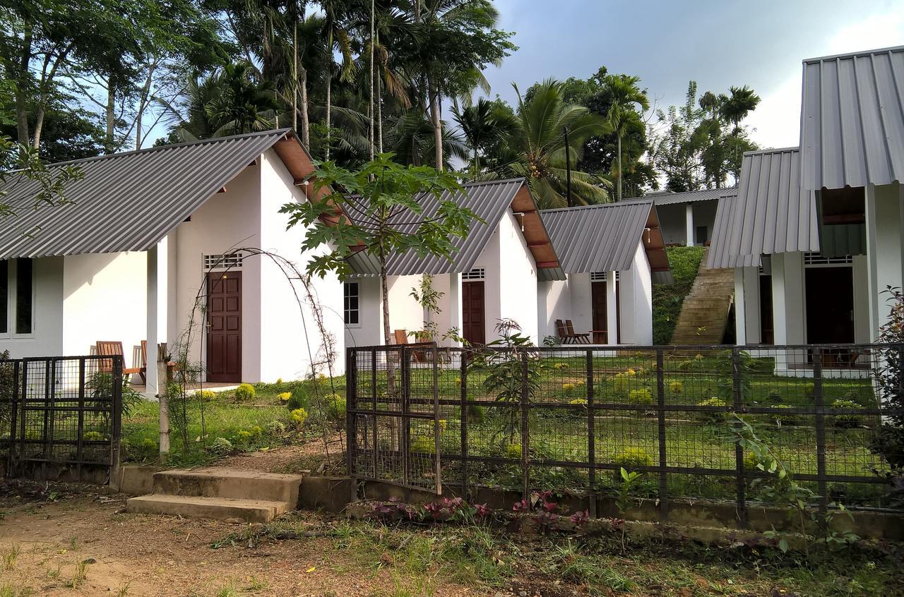 Sinharaja Forest Sanctuary Deniyaya Exterior photo