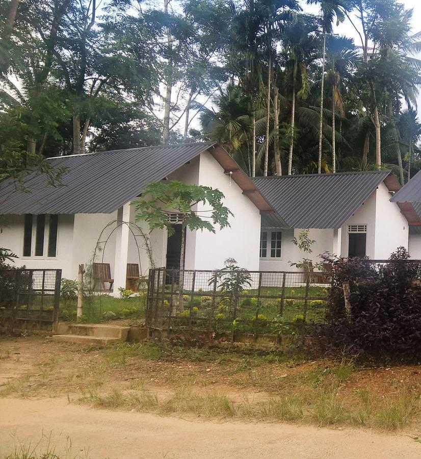 Sinharaja Forest Sanctuary Deniyaya Exterior photo