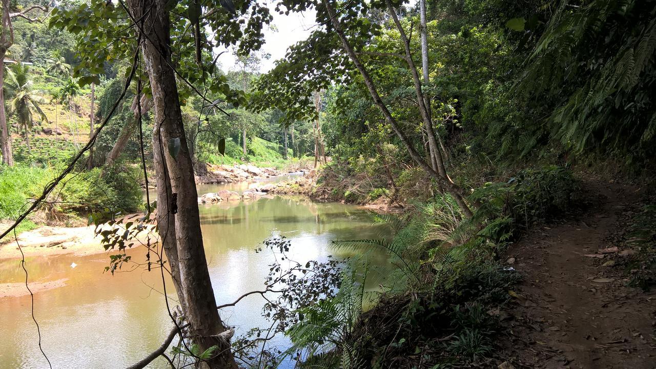 Sinharaja Forest Sanctuary Deniyaya Exterior photo