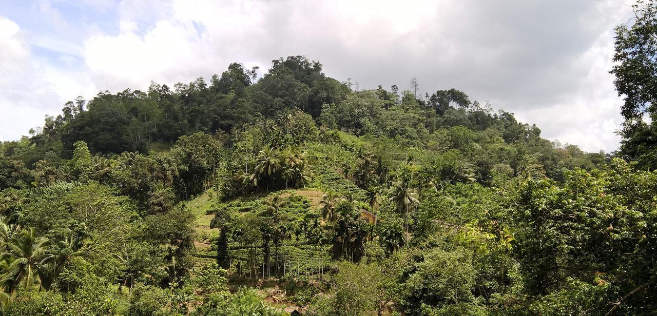 Sinharaja Forest Sanctuary Deniyaya Exterior photo