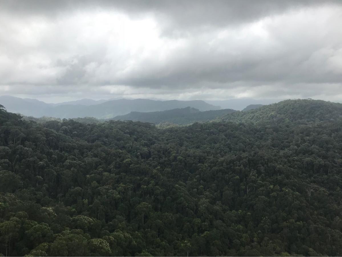 Sinharaja Forest Sanctuary Deniyaya Exterior photo