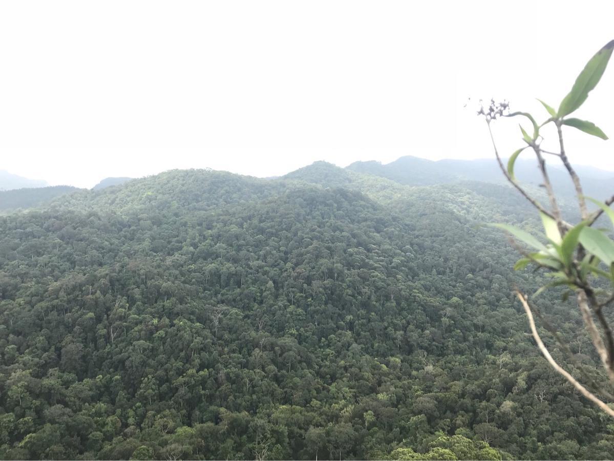 Sinharaja Forest Sanctuary Deniyaya Exterior photo