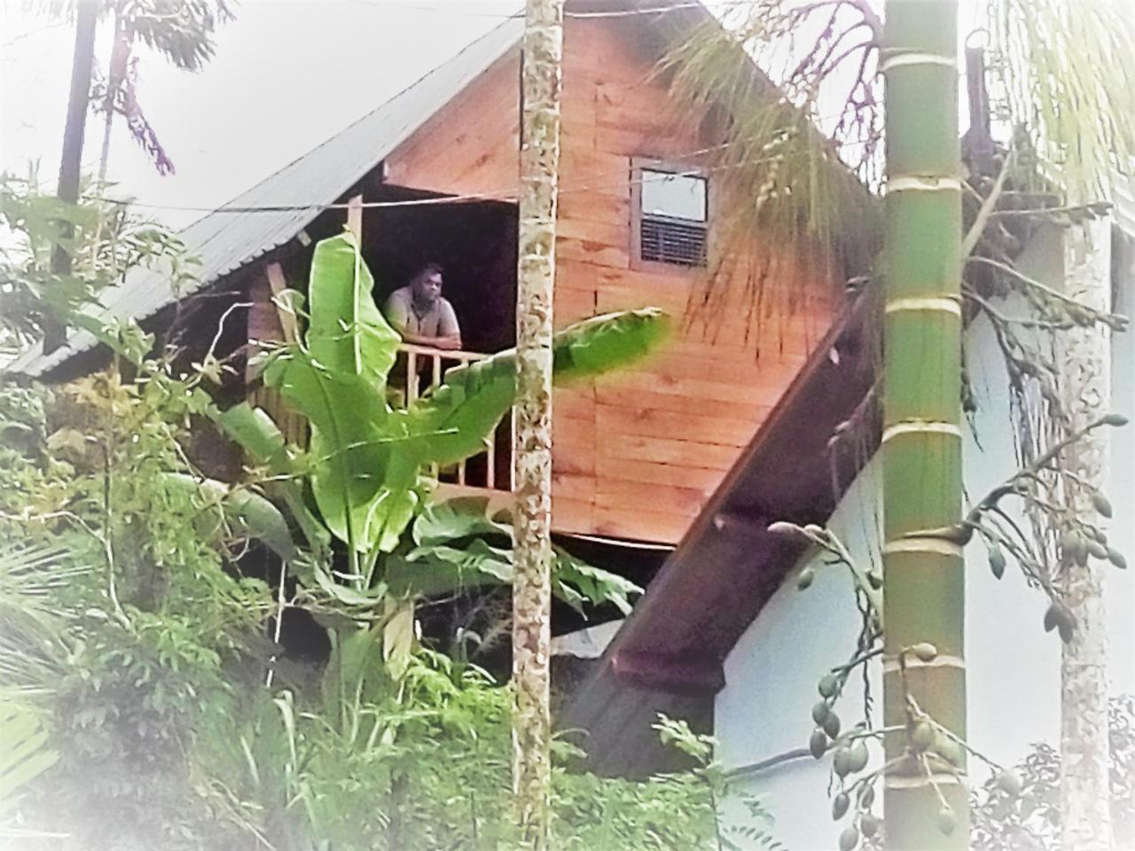 Sinharaja Forest Sanctuary Deniyaya Exterior photo